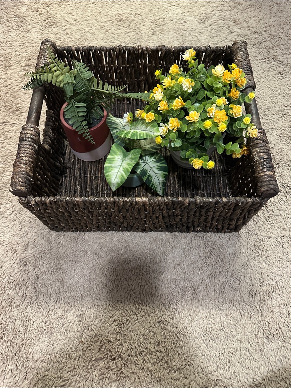 Woven Storage Basket and Faux Plants